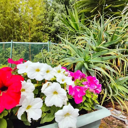 Appartement Le Coq Massolin *