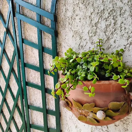 Le Coq Massolin - Parking - Ac - Wifi *