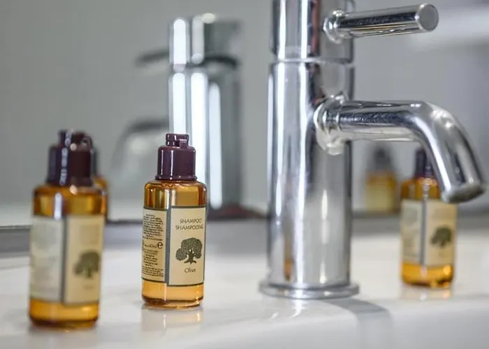 Le Coq Massolin - Parking - Ac - Wifi *